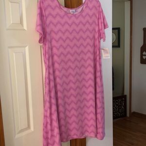 LulaRoe carly